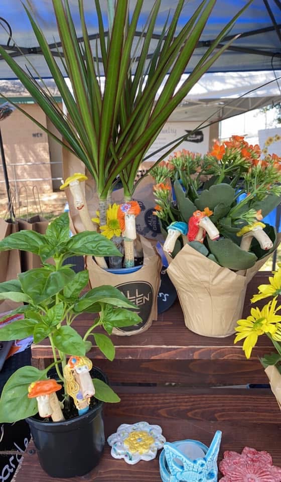 Colorful ceramic plant decorations