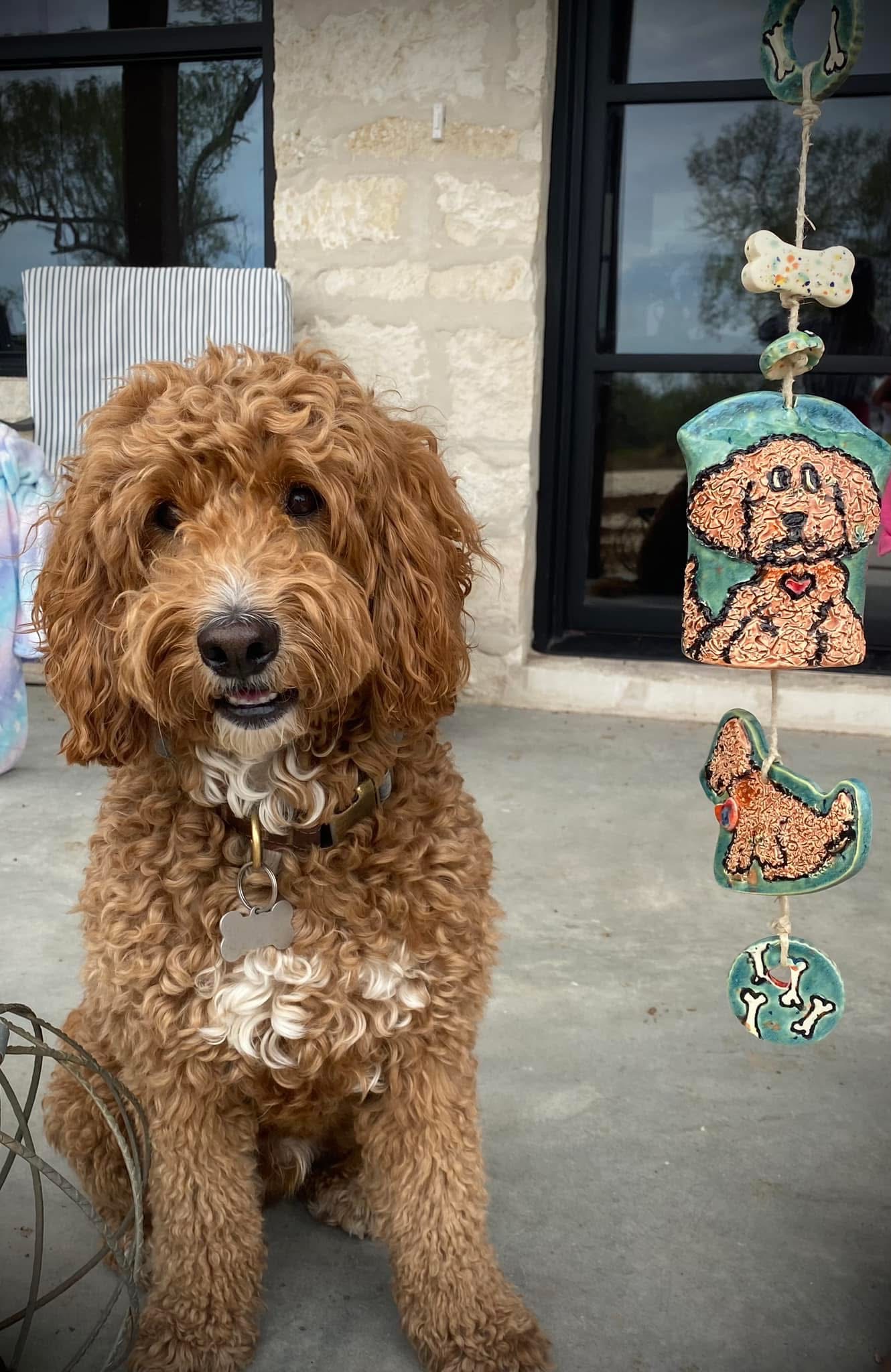 Dog beside dog-themed pottery